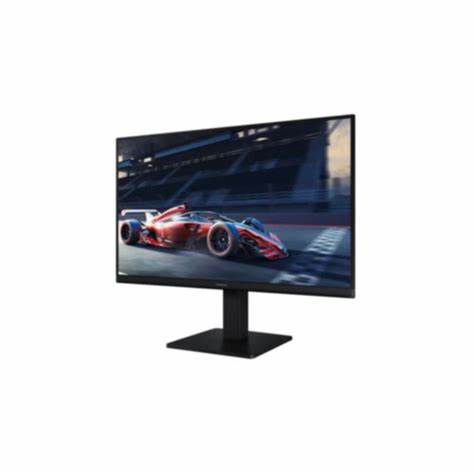 Samsung LS24D300GAMXUE